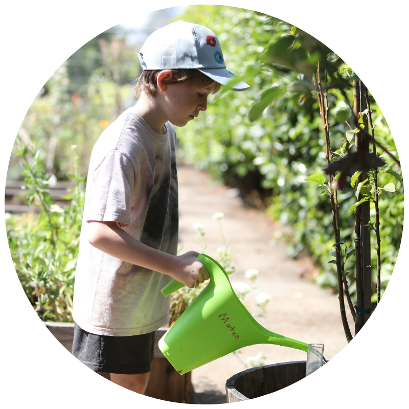 Untitled design (12)