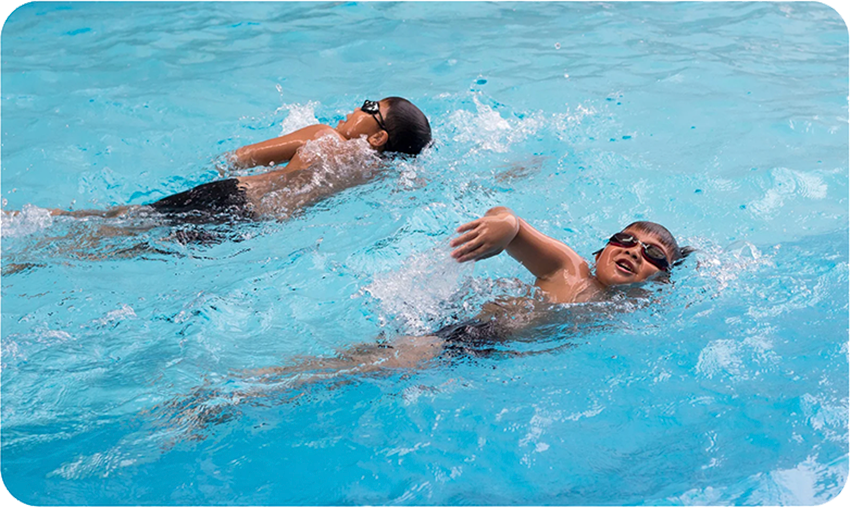 Crafting, Cultures, and Cuisines